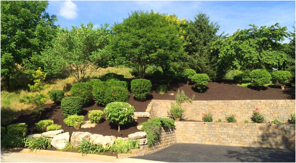 Garden_Bed_Maintence